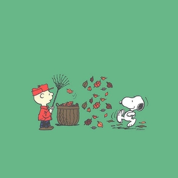 Meet your Posher, Desarey - Picture 1 of 1